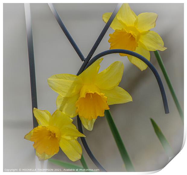 Three daffodils  Print by MICHELLE THOMPSON