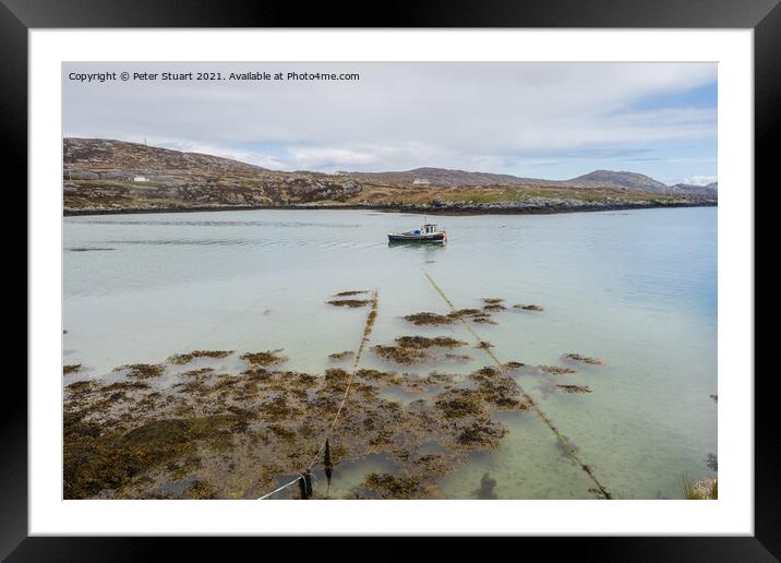 Eriskay is an island in the Outer Hebrides and is located betwee Framed Mounted Print by Peter Stuart