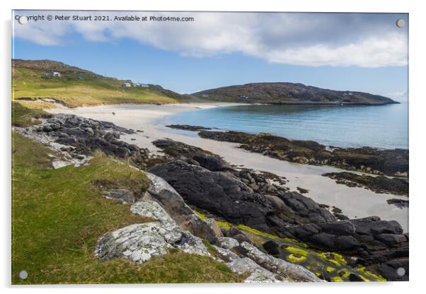 Prince's Beach is located on the west side of the Isle of Eriska Acrylic by Peter Stuart