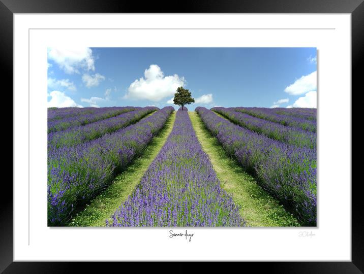 Summer days Framed Mounted Print by JC studios LRPS ARPS