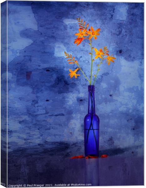 Montbretia in a blue bottle Canvas Print by Paul Praeger