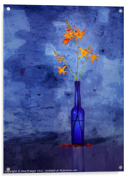 Montbretia in a blue bottle Acrylic by Paul Praeger