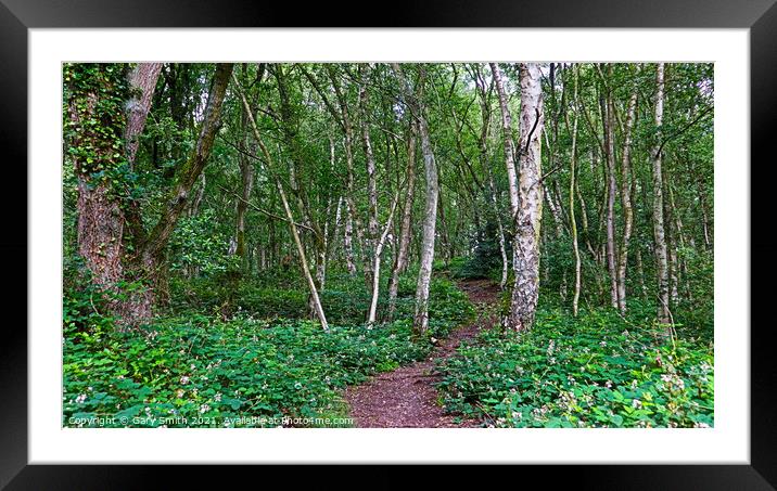 Tree Root Pathway  Framed Mounted Print by GJS Photography Artist