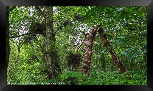 Bawdeswell Heath Tree Broken Framed Print by GJS Photography Artist