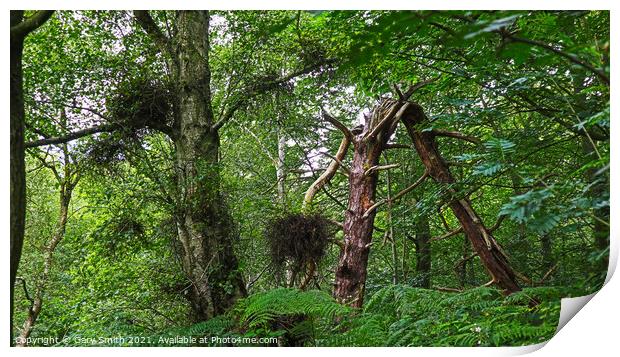 Bawdeswell Heath Tree Broken Print by GJS Photography Artist