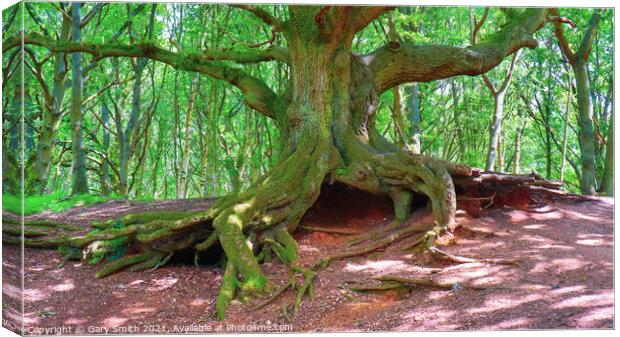 Old Oak Root Den Canvas Print by GJS Photography Artist