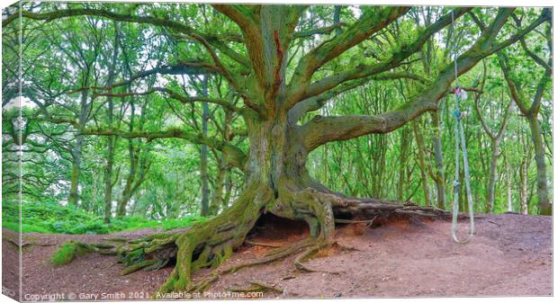 Old Oak Exposed Roots and Kids Rope Swing Canvas Print by GJS Photography Artist