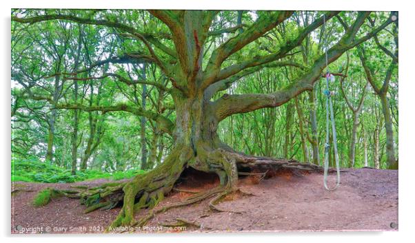 Old Oak Exposed Roots and Kids Rope Swing Acrylic by GJS Photography Artist