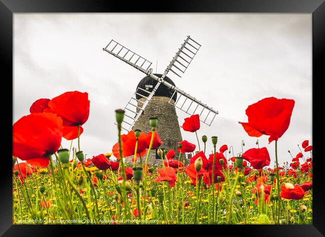 Whitburn Windmill with Poppies Framed Print by Gary Clarricoates