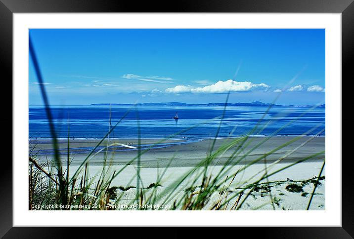 Shell island dunes Framed Mounted Print by Sean Wareing
