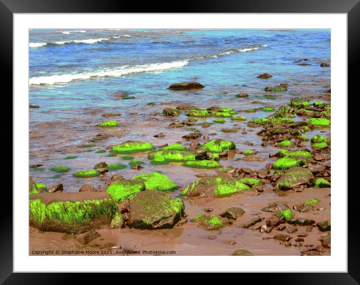Iridescent Seaweed Framed Mounted Print by Stephanie Moore
