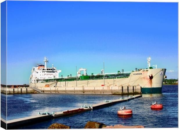 Large ocean going freighter Canvas Print by Stephanie Moore