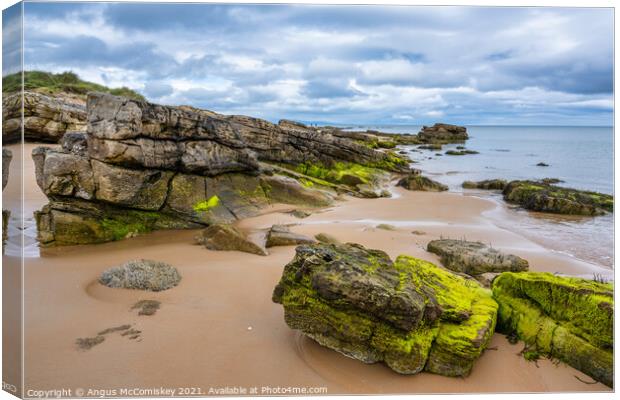 Outcrop of rock on Dornoch beach in Sutherland Canvas Print by Angus McComiskey