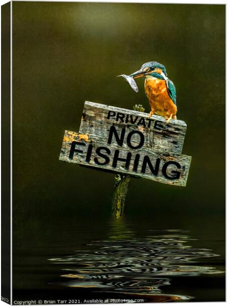 No Fishing Canvas Print by Brian Tarr