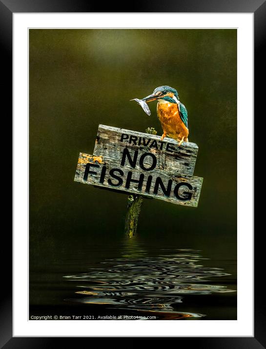 No Fishing Framed Mounted Print by Brian Tarr