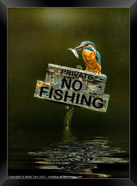 No Fishing Framed Print by Brian Tarr