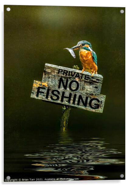 No Fishing Acrylic by Brian Tarr