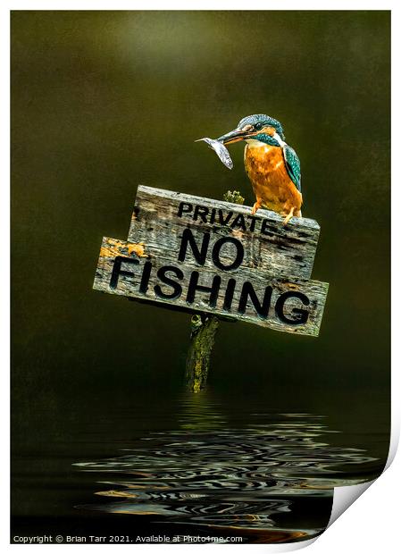 No Fishing Print by Brian Tarr