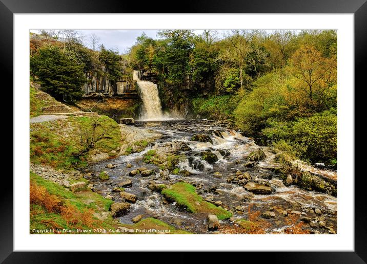 Thornton Force river Twiss Yorkshire Framed Mounted Print by Diana Mower