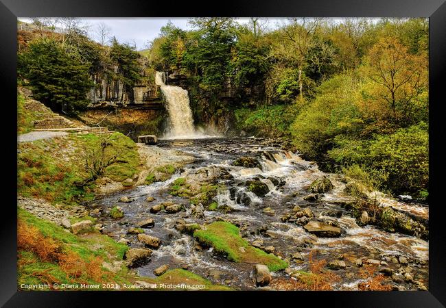 Thornton Force river Twiss Yorkshire Framed Print by Diana Mower
