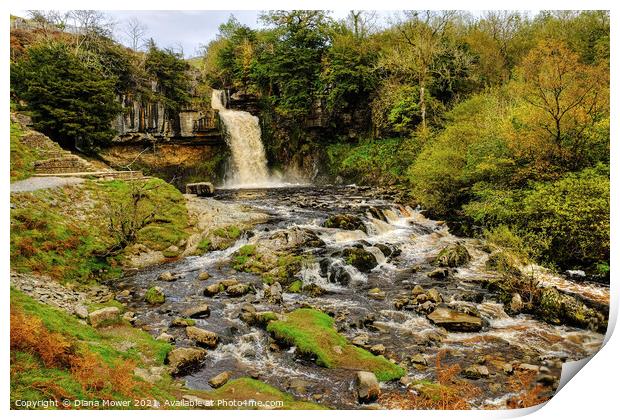 Thornton Force river Twiss Yorkshire Print by Diana Mower