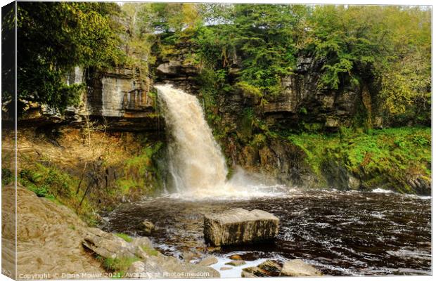 Thornton Force river Twiss  Canvas Print by Diana Mower