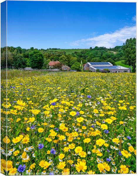 Wild Flower Meadow Canvas Print by Wight Landscapes