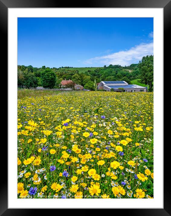 Wild Flower Meadow Framed Mounted Print by Wight Landscapes