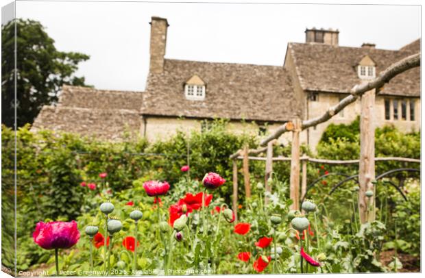 Poppies Growing In The Kitchen Gardens At Cogges Manor Farm, Oxfordshire Canvas Print by Peter Greenway