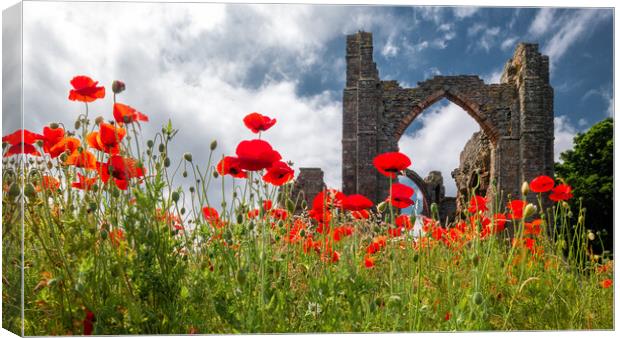 Poppies at Lindisfarne Priory Canvas Print by Mark Jones