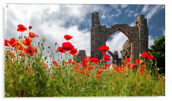 Poppies at Lindisfarne Priory Acrylic by Mark Jones