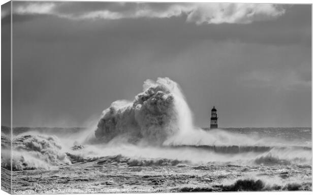 Dramatic Waves at Seaham Canvas Print by Gary Clarricoates