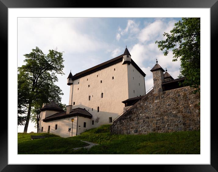 Goldegg Castle in the Pongau Region of Salzburg, Austria Framed Mounted Print by Dietmar Rauscher