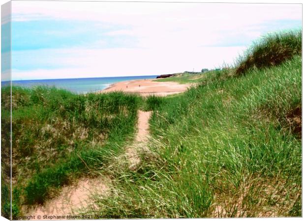 The path to the sea Canvas Print by Stephanie Moore