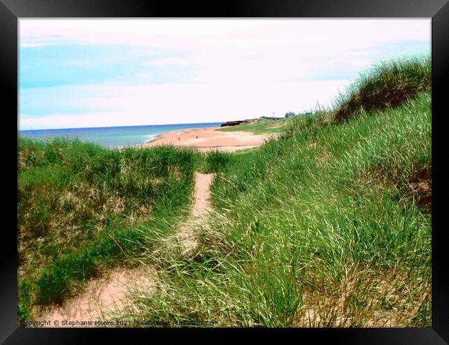 The path to the sea Framed Print by Stephanie Moore