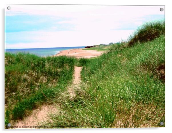 The path to the sea Acrylic by Stephanie Moore