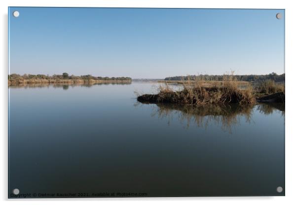 Tranquil Okavango River Landscape, Namibia Acrylic by Dietmar Rauscher