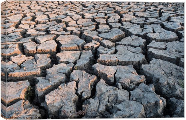 Concept for Drought - Dry Cracked Soil Canvas Print by Dietmar Rauscher