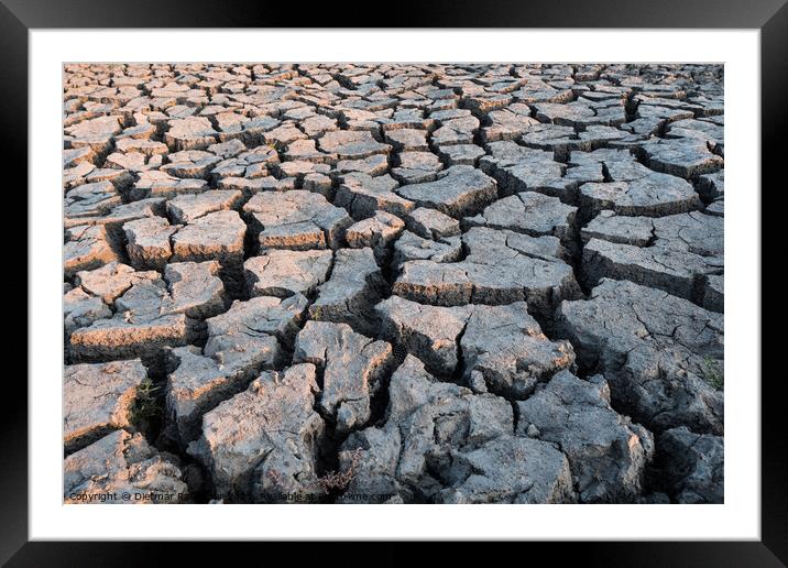Concept for Drought - Dry Cracked Soil Framed Mounted Print by Dietmar Rauscher