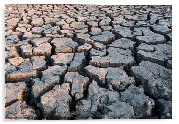 Concept for Drought - Dry Cracked Soil Acrylic by Dietmar Rauscher