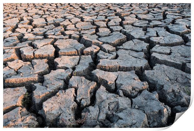 Concept for Drought - Dry Cracked Soil Print by Dietmar Rauscher