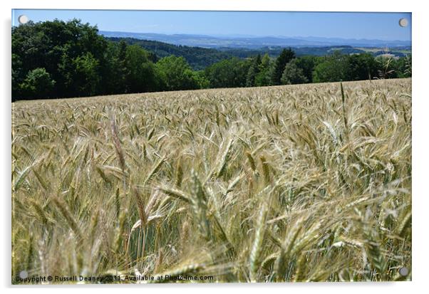 Wheat Fields Acrylic by Russell Deaney