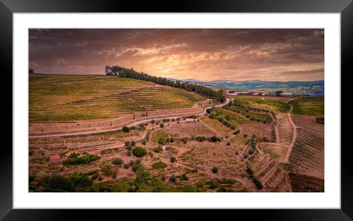Amazing landscape of Portugal at Douro valley Framed Mounted Print by Erik Lattwein