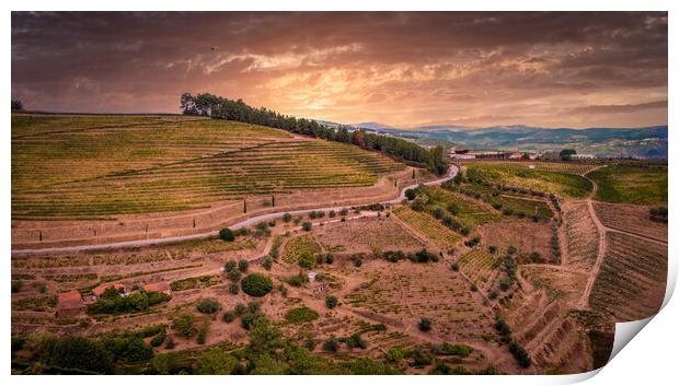 Amazing landscape of Portugal at Douro valley Print by Erik Lattwein