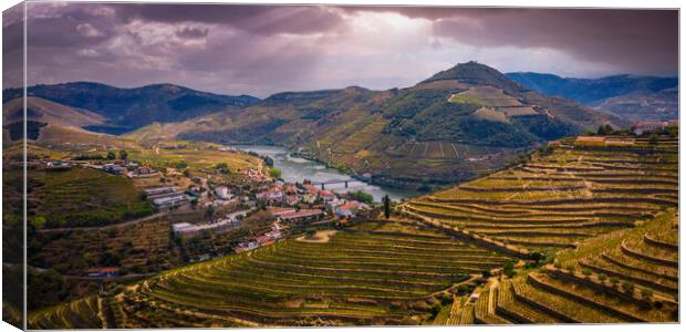 Flight over typical vineyards in Douro valley in Portugal Canvas Print by Erik Lattwein