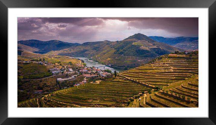 Flight over typical vineyards in Douro valley in Portugal Framed Mounted Print by Erik Lattwein