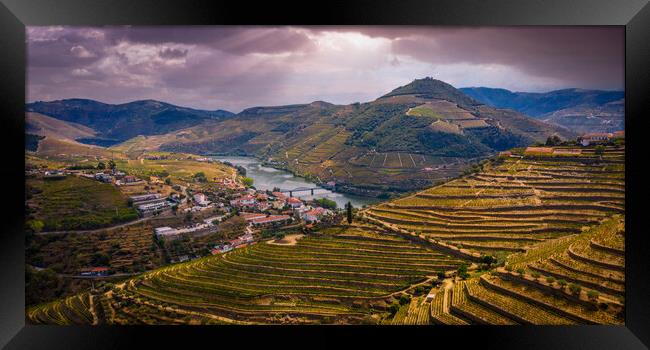 Flight over typical vineyards in Douro valley in Portugal Framed Print by Erik Lattwein