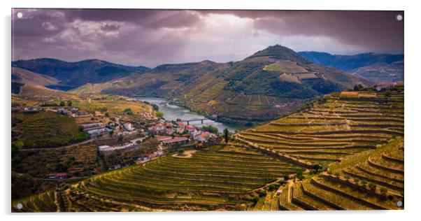 Flight over typical vineyards in Douro valley in Portugal Acrylic by Erik Lattwein