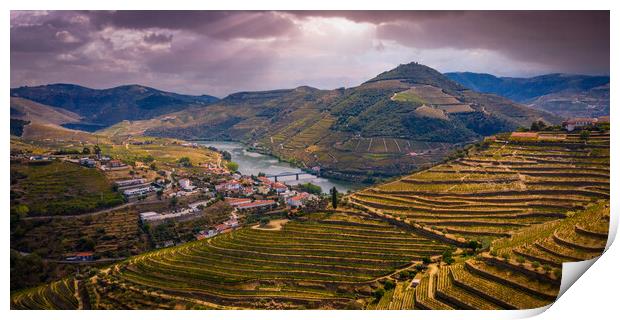 Flight over typical vineyards in Douro valley in Portugal Print by Erik Lattwein