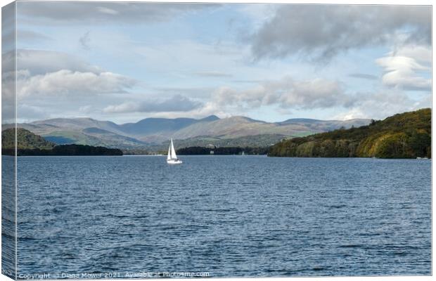 Windermere Fairfield Horseshoe View Canvas Print by Diana Mower